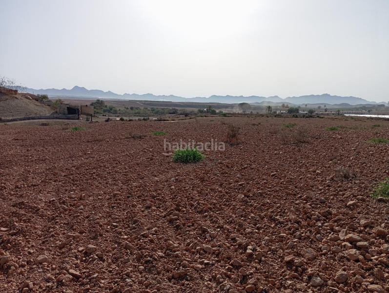 Foto dfe85a15-0e8a-4f34-999d-6177b33694d0. Country house in Cuevas del Almanzora pueblo Cuevas del Almanzora