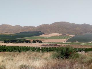 Propriété à Almendricos. Terreno con vistas y casa en obra