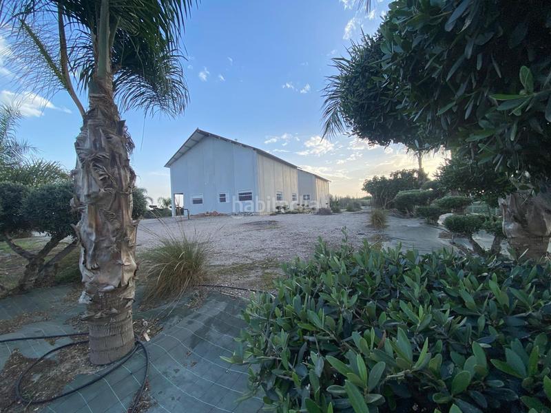 Foto 3ecd00d0-1dd9-49e8-9188-785fb62b576e. Nau industrial a Purias Lorca