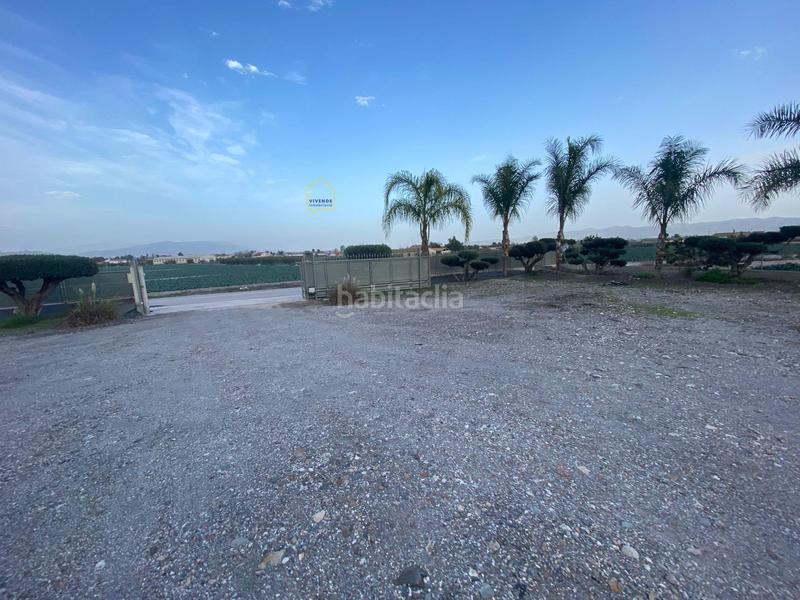 Foto 712329c4-9bb4-4a14-9254-282e29e8ee9d. Nau industrial a Purias Lorca