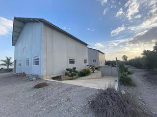 Industrial building in Purias. Finca de olivos con dos naves