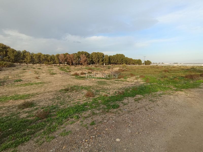 Foto a719ce20-abe8-4deb-99f5-624a7868739f. Finca rústica a Puerto Lumbreras