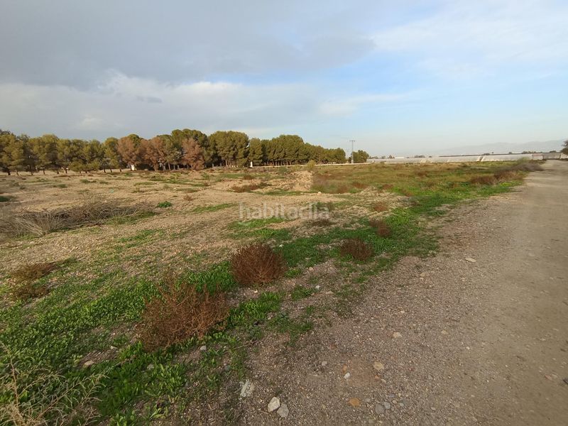 Foto f8a1adce-1001-4867-80f2-da8b293e0097. Finca rústica a Puerto Lumbreras