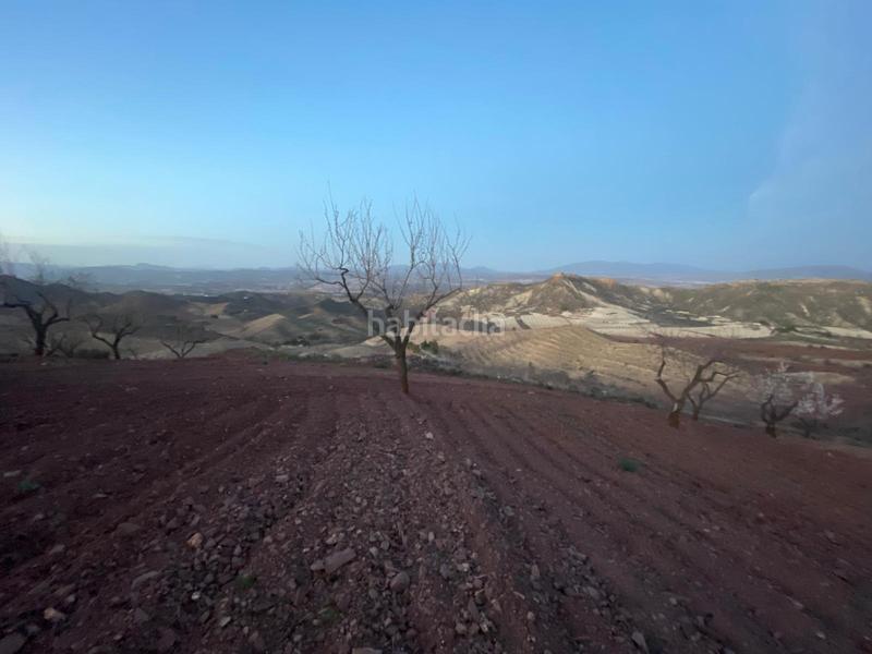 Foto 6bb8efde-3889-4c59-a679-163c70d3ec2c. Haus mit heizung parking in Parrilla Lorca