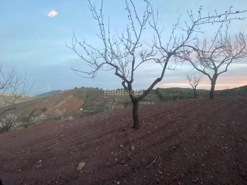 Foto c0eeb5a1-c363-49ef-a081-e1ec5b0d9f1a. Haus mit heizung parking in Parrilla Lorca