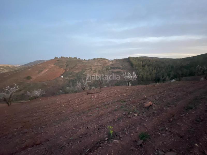 Foto ea737688-028c-40be-9f8f-afb93aa4ea60. Haus mit heizung parking in Parrilla Lorca