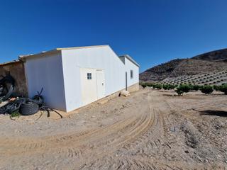 Bauernhof in Tébar - Los Arejos
