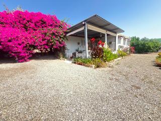 Casa  Águilas. 2.200m2 de parcela con casetas en tebar águilas
