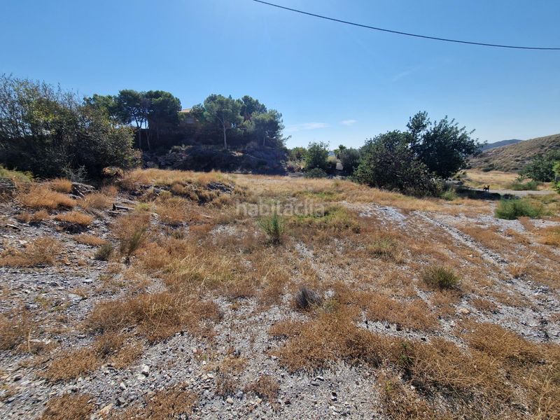 Foto f48f7149-2d19-4d7e-867b-f54728f36969. Finca rústica a Casco Antiguo Águilas
