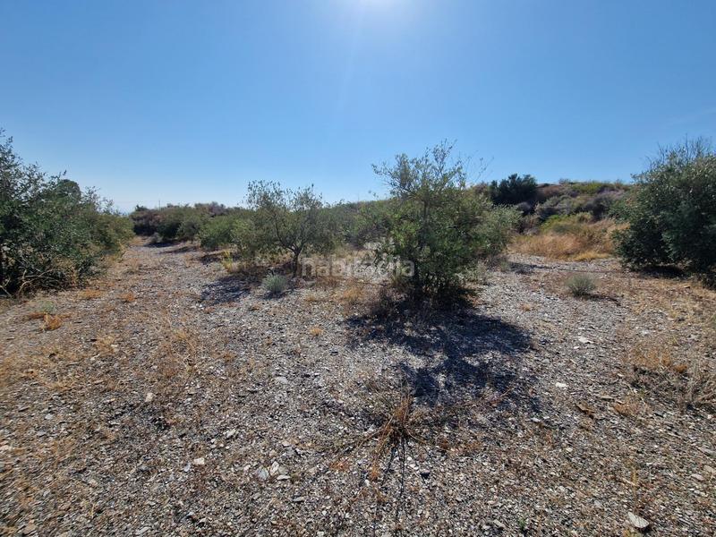 Foto 2ec04670-9231-43e1-8081-33dd9e6ee0ee. Rural plot in Casco Antiguo Águilas