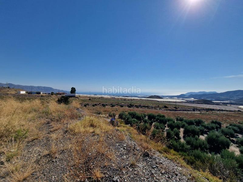 Foto 301c5dcb-24b7-4462-aba5-06559a64c1be. Rural plot in Casco Antiguo Águilas