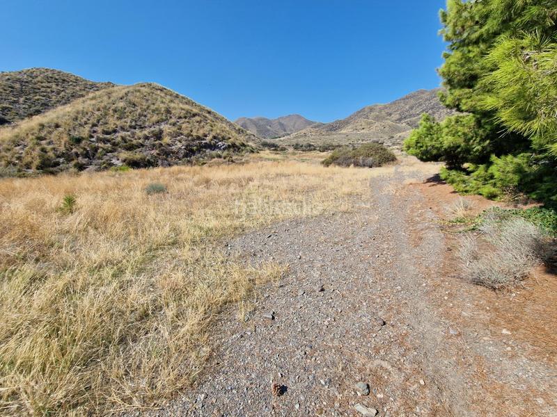 Foto a199e18a-82e6-4f65-9ffa-053b3d2f996a. Rural plot in Casco Antiguo Águilas