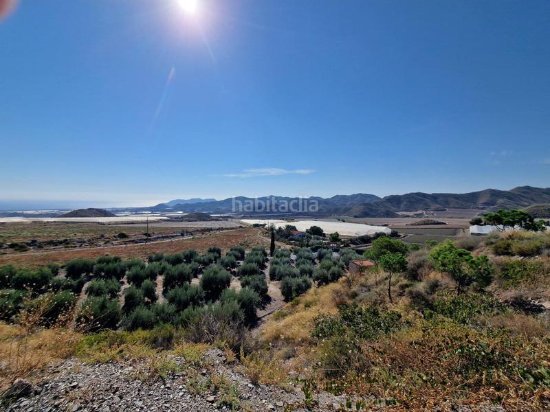 Foto a9d56750-9f92-49fa-9dc9-5117dccd205a. Rural plot in Casco Antiguo Águilas