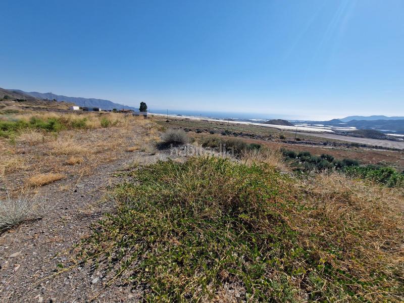 Foto e38f7003-da45-48d3-89b1-d1acf2d9f7da. Rural plot in Casco Antiguo Águilas