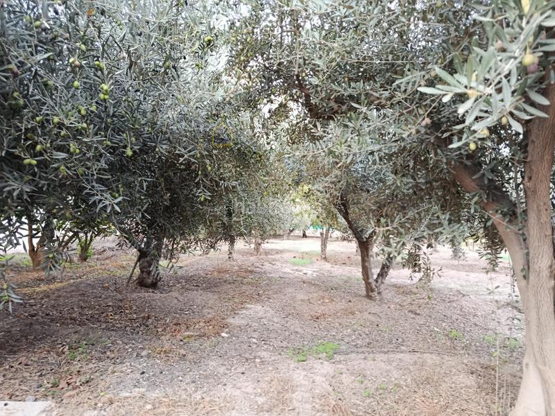 Foto 3b4ae8b3-1ce4-42f1-8819-9f7b3966b317. Xalet amb aparcament a Sutullena Lorca