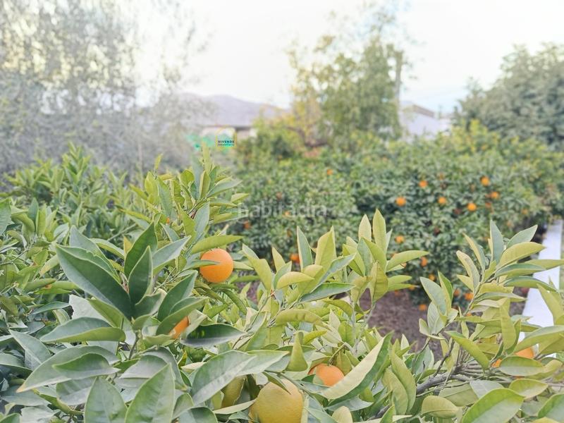 Foto 593079c4-1ada-43a1-acda-9cd2094363c6. Xalet amb aparcament a Sutullena Lorca