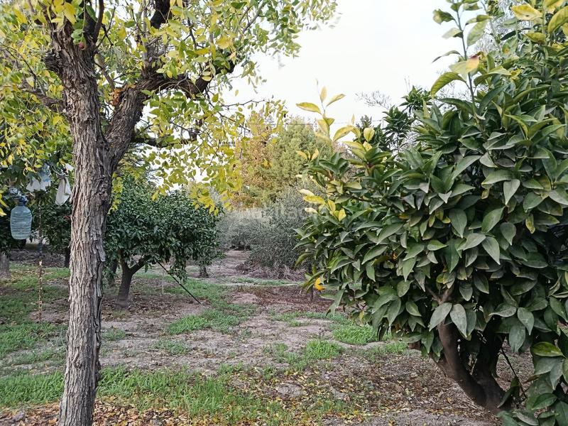 Foto a867c437-c8de-4a37-b2b0-16c44fe6e024. Xalet amb aparcament a Sutullena Lorca