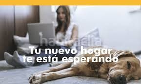 Foto e4a11efe-dbfb-4606-8693-699e942efca3. Terreny residencial a San Cristóbal - San Diego Lorca