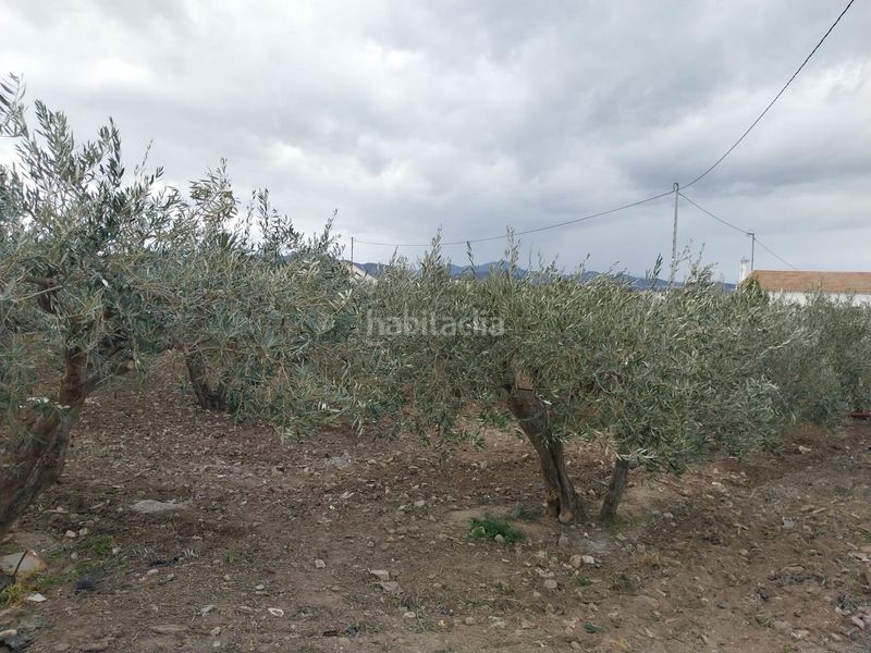 Foto ca9abc22-1612-4960-a117-7ab1d76f635b. Masia a Sangonera la Seca Murcia