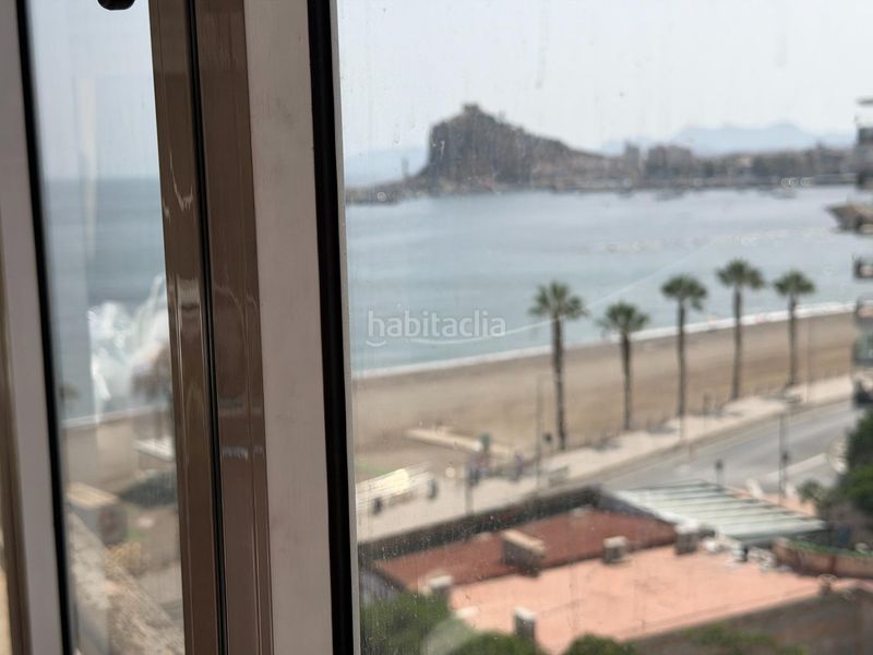 Foto fe9ce9c8-c7c3-45a0-afb5-4cb84fcd7dd7. Pis a Delicias Águilas