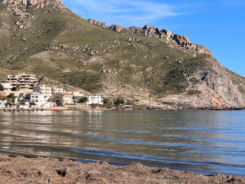 Foto df688ce0-b6a1-4154-bbc3-1721bccfe81e. Pis a Casco Antiguo Águilas