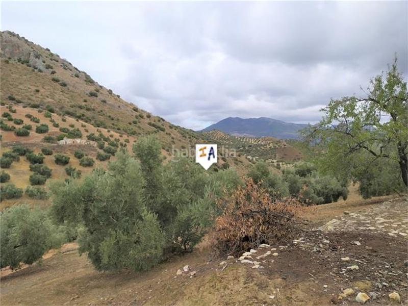 Foto 1c0f6d38-d83f-4f0d-a95e-26252a096791. Casale in Iznájar