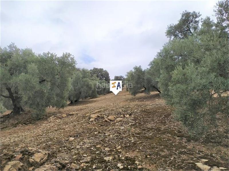 Foto e6a4fa86-6d76-4d34-94c2-3f5823c4ae97. Casale in Iznájar