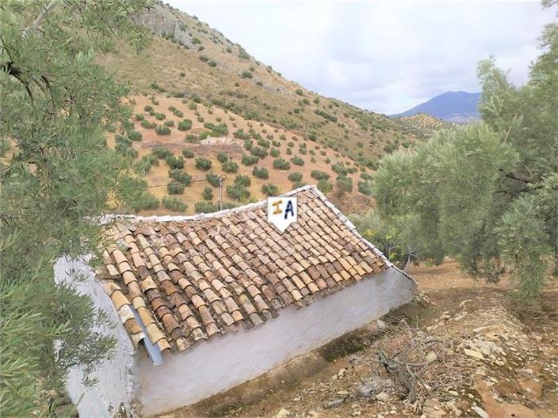 Foto f95cf628-3387-4b11-8a20-f038792ee217. Casale in Iznájar