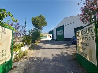 Business premise in Íllora