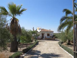 Casale in Martos