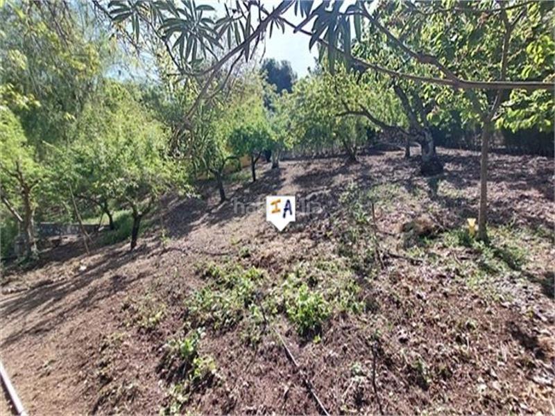 Foto 31df87ea-3590-431e-b1aa-ae55f12ac927. Casale con parcheggio piscina in Carcabuey