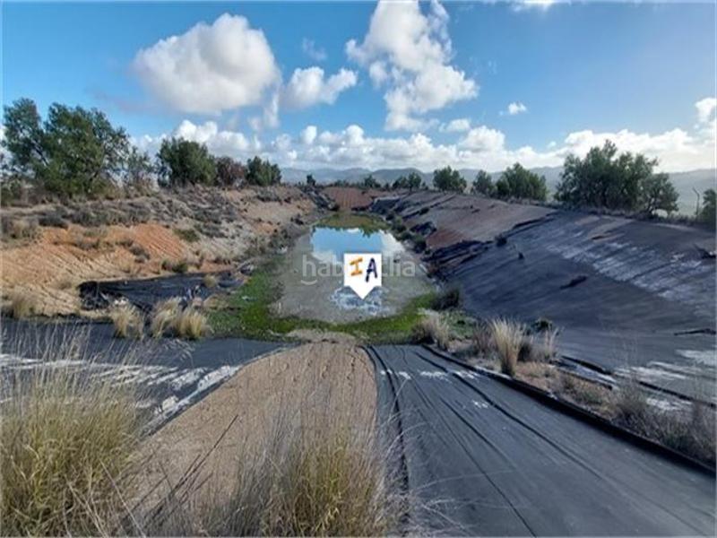 Foto 56b0cf39-c09e-4aa4-a73b-1759a3d9002b. Masia amb aparcament piscina a Priego de Córdoba