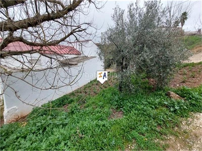 Foto 06536a53-df54-4546-98ae-36624b9054e8. Masía en Cabra