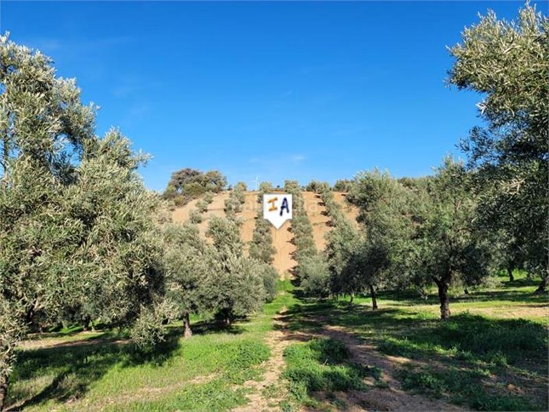 Foto 2c5d2ccc-b9fa-425b-b742-626f20096749. Mas avec piscine dans Osuna