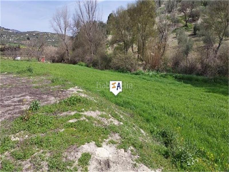 Foto 3361507d-f6e9-4d5d-a914-a1f86b416e47. Bauernhof in Algarinejo