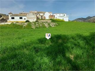 Masia a Algarinejo