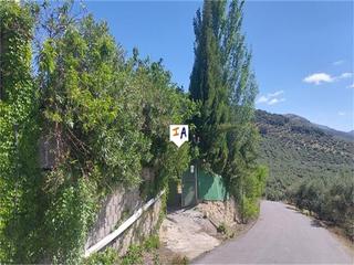 Mas à Montillana