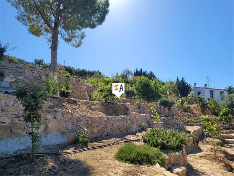 Foto 4396fe43-13f0-497a-bfb0-0a89c16271d3. Bauernhof in Bobadilla - Bobadilla Estación - La Joya Antequera