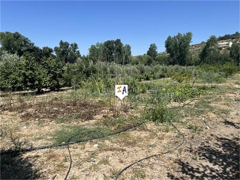 Foto 377e5dd3-28ae-459b-b492-fbd59f6c5e10. Casale con parcheggio in Castillo de Locubín