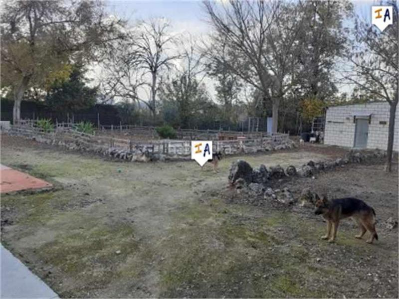 Foto d3d7c023-79d5-4f50-abba-c98212a6e9aa. Chalet mit parking pool in Poleares Lucena