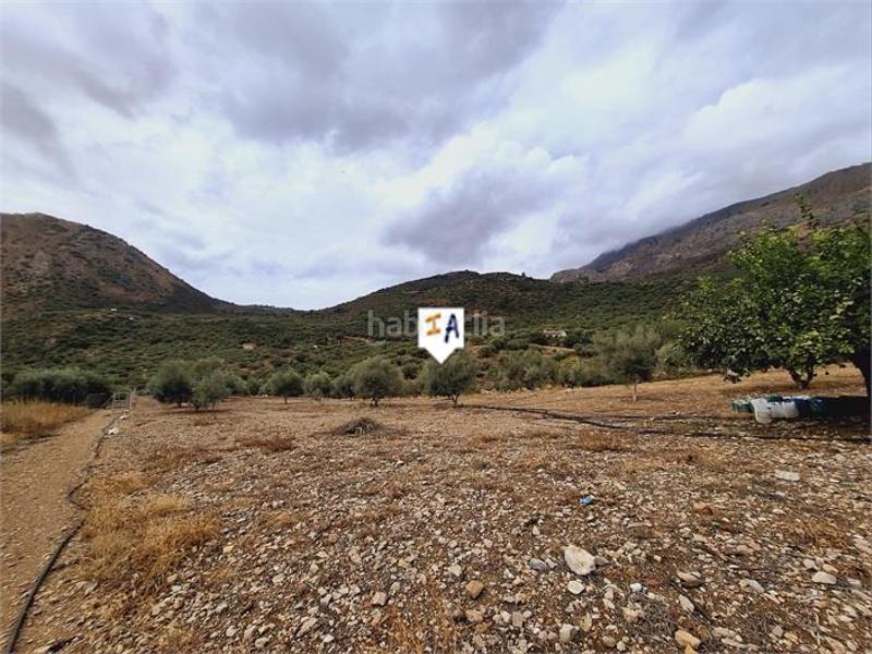 Foto b1b9f00e-12d3-4b5f-9f60-5f1e049d56dd. Casa adossada a Alcaucín