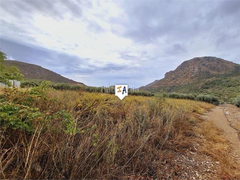 Foto d3a22fcc-8c4d-49ff-8547-e54be80e9543. Casa adossada a Alcaucín