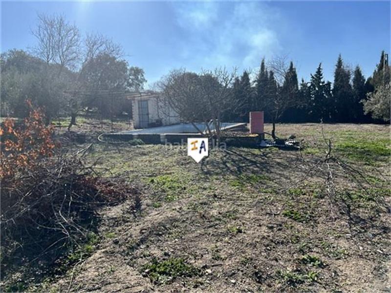 Foto 228e9ada-2bd2-4de5-be6b-3f18476b1782. Masia amb aparcament piscina a Alcalá la Real