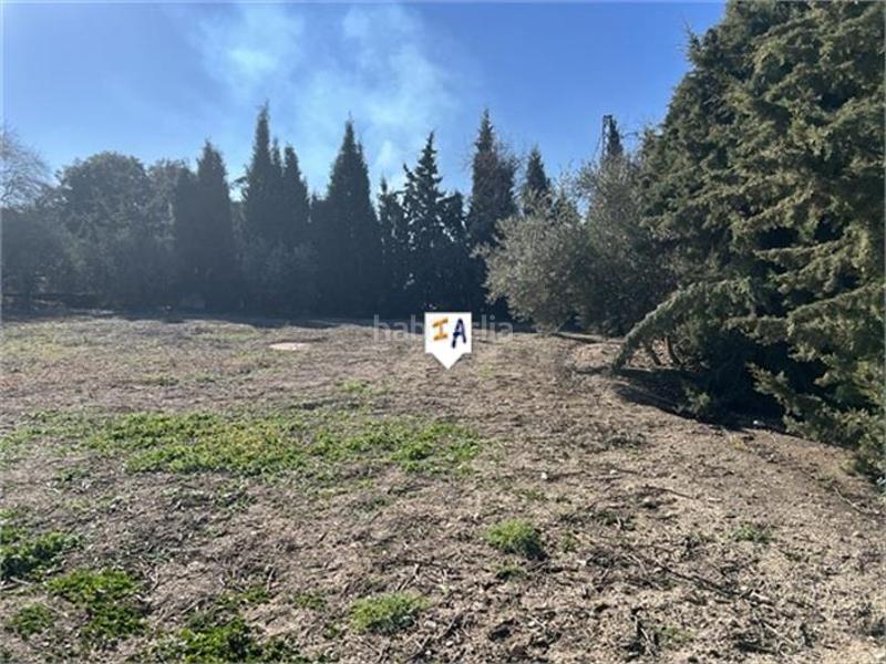 Foto 76810caf-1080-47c9-b6ff-5a277ef5dd9e. Masia amb aparcament piscina a Alcalá la Real