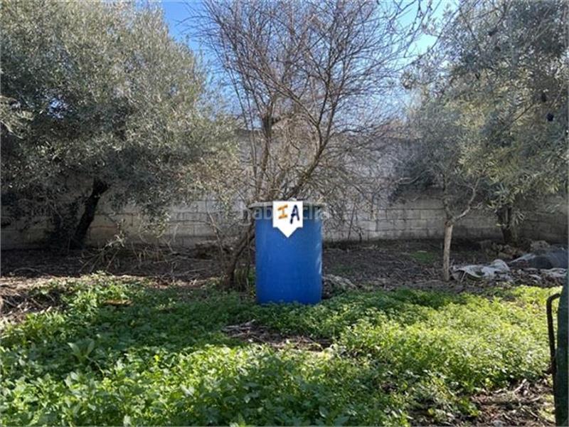 Foto ea7142ef-73e1-418d-922c-11316c29d60a. Masia amb aparcament piscina a Alcalá la Real