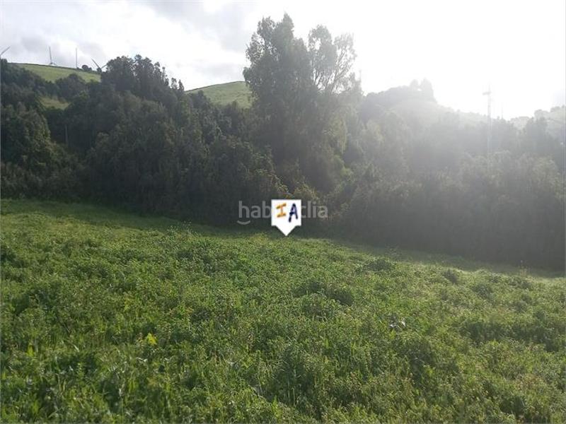 Foto 849f430f-ca0f-4f90-acb1-1c4724e04e49. Terreno residencial en Barbate Barbate
