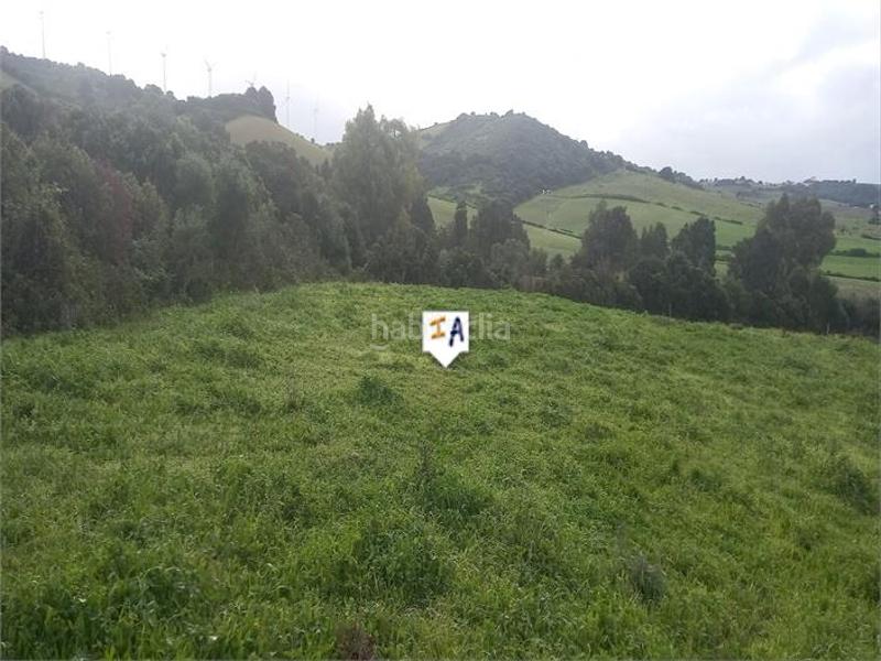 Foto cb56c9d5-21e7-44b9-9267-dc0924d70097. Terreno residencial en Barbate Barbate