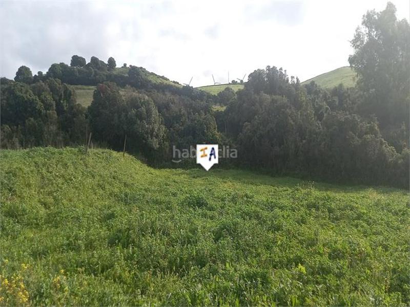 Foto c5410a85-6404-4019-a27a-abf8bd07b051. Terrain résidentiel dans Barbate Barbate