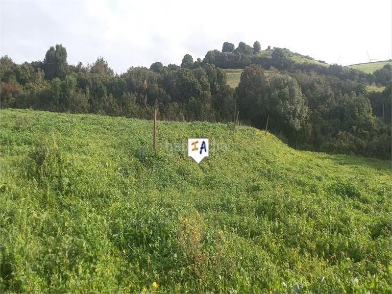 Foto 6c1e224e-0161-46b8-b27d-c5f5489abf37. Terreno residenziale in Barbate Barbate