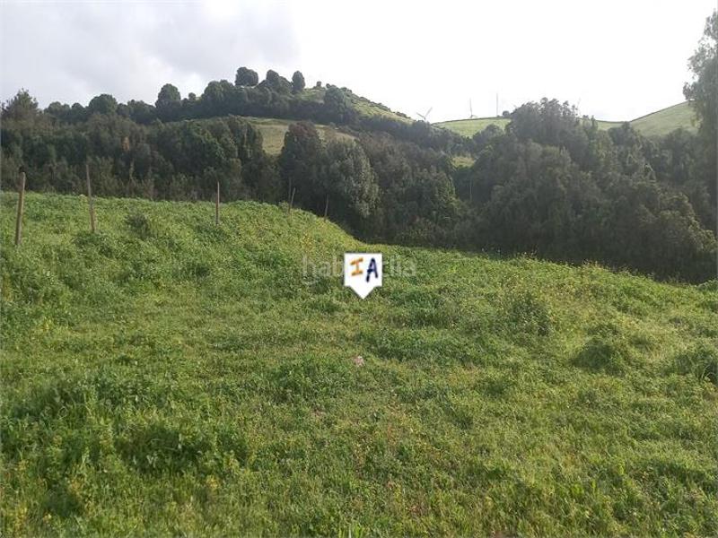 Foto d190c3c8-e456-40a3-b368-e508c211c6ed. Terreno residenziale in Barbate Barbate